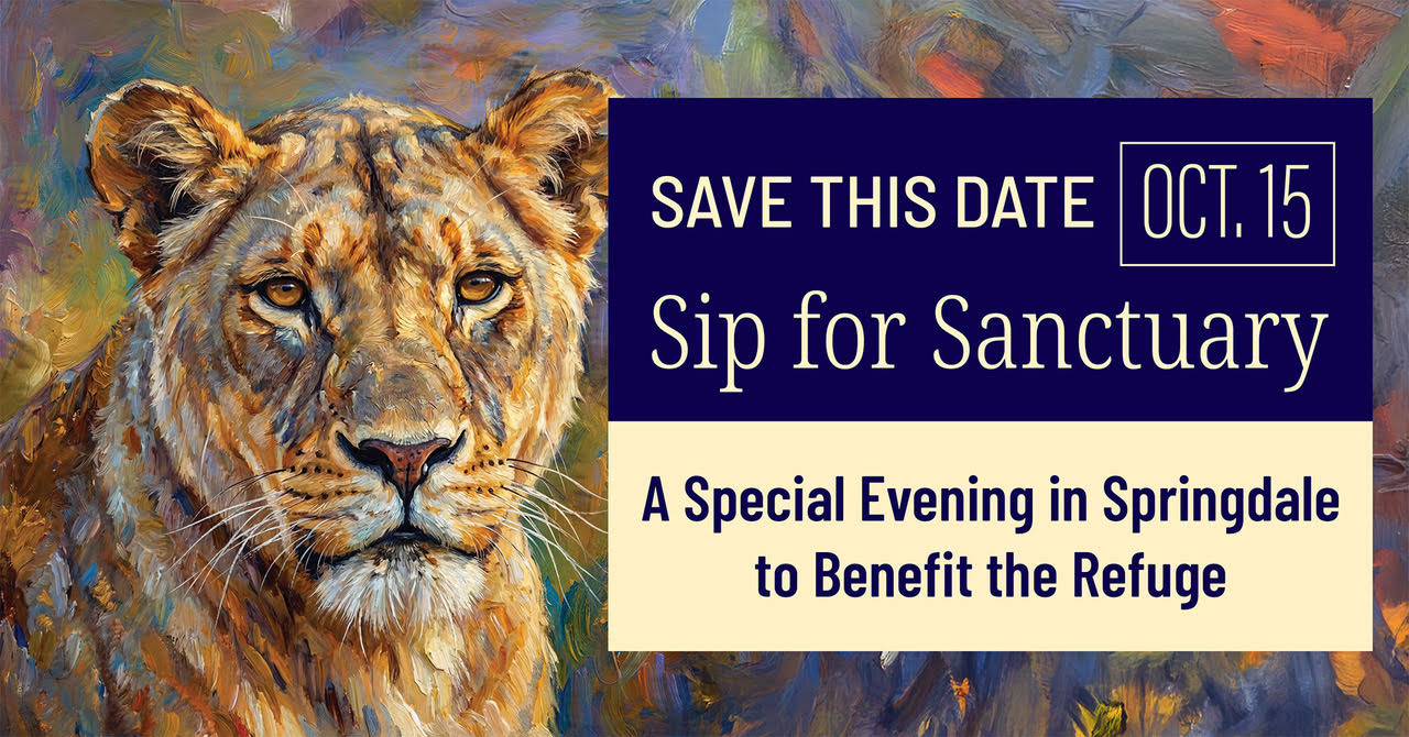 Sip%20for%20Sanctuary%202026%204.jpg
