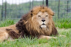 Fundraising Page Image