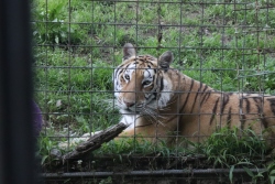 Fundraising Page Image