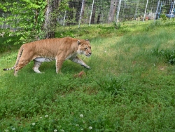 Fundraising Page Image