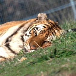 Fundraising Page Image